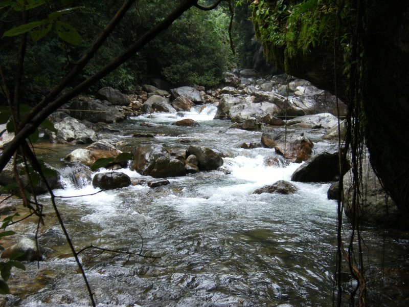 Ponmudi – A one day short trip from Thiruvananthapuram (Kerala, India)