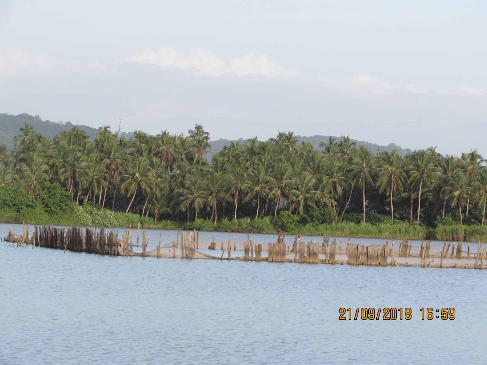 Akalapuzha, Quilandy, Kozhikode, Kerala, India