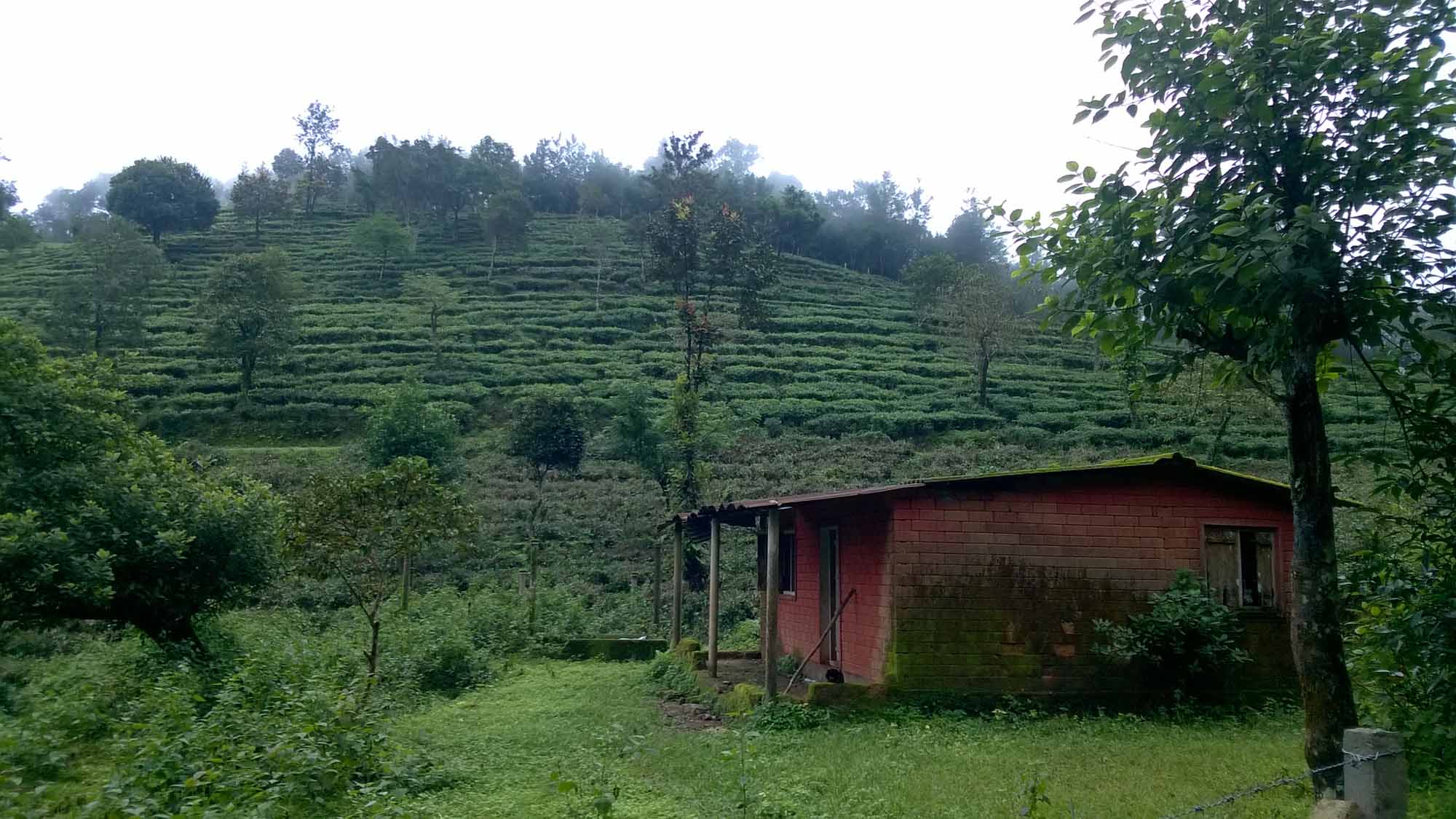 A one day trip to my relative’s new upcoming home stay in Lakkidi, Wayanad, Kerala, India