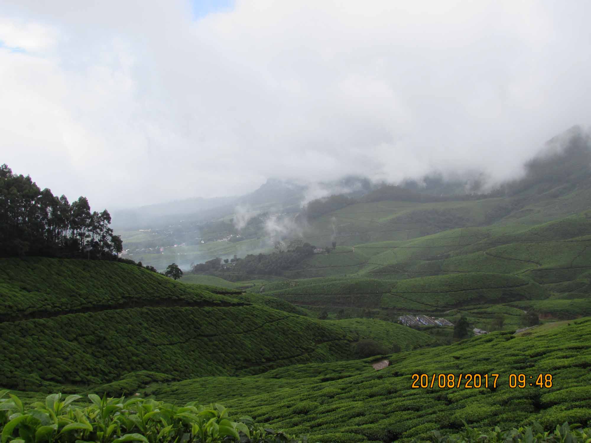 A Jeep safari to the World’s highest organic tea plantation “Kolukkumalai” (Theni, TamilNadu, India)