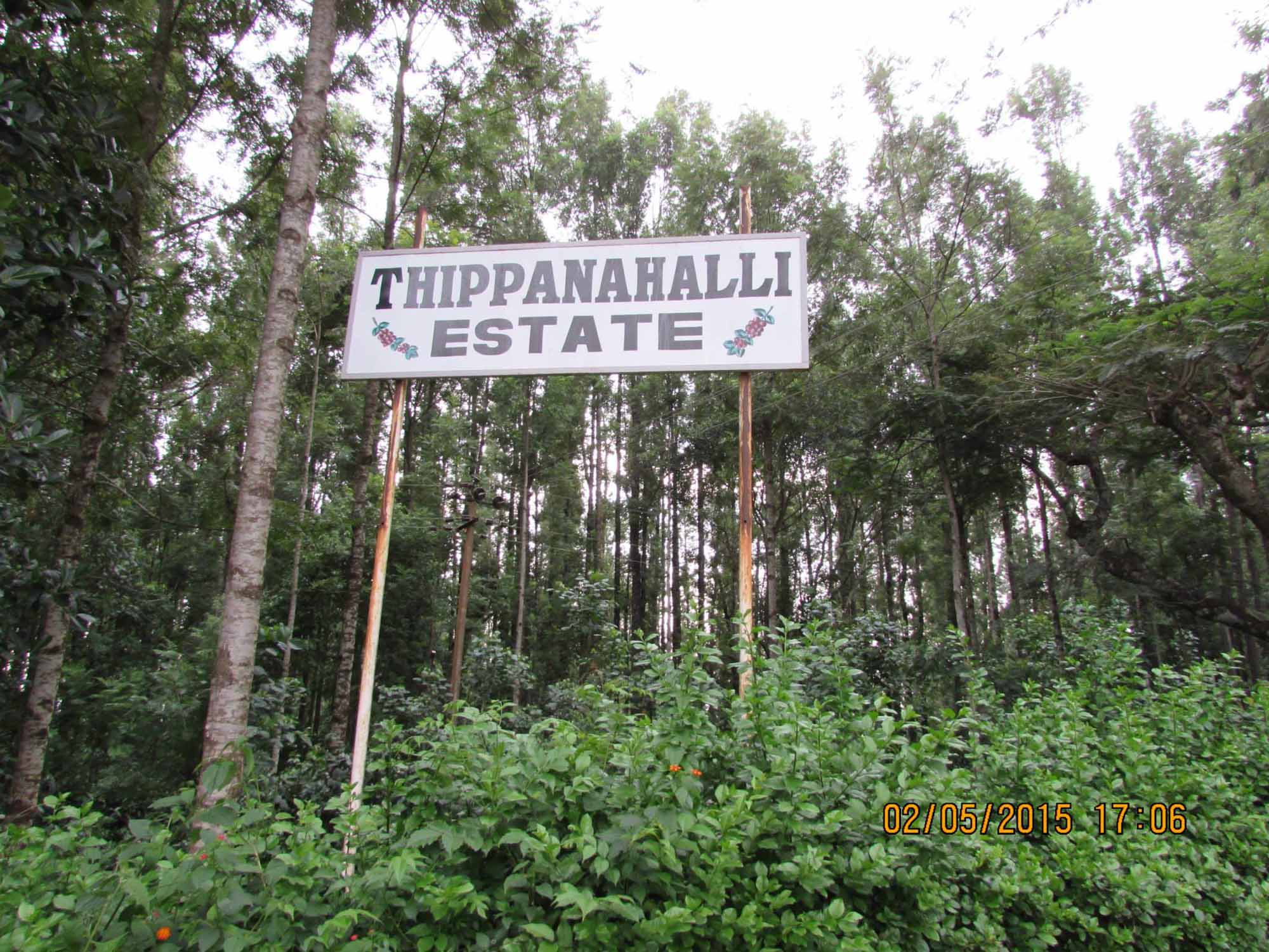 Thippanahalli Homestay, Chikmagalur, Karnataka, India