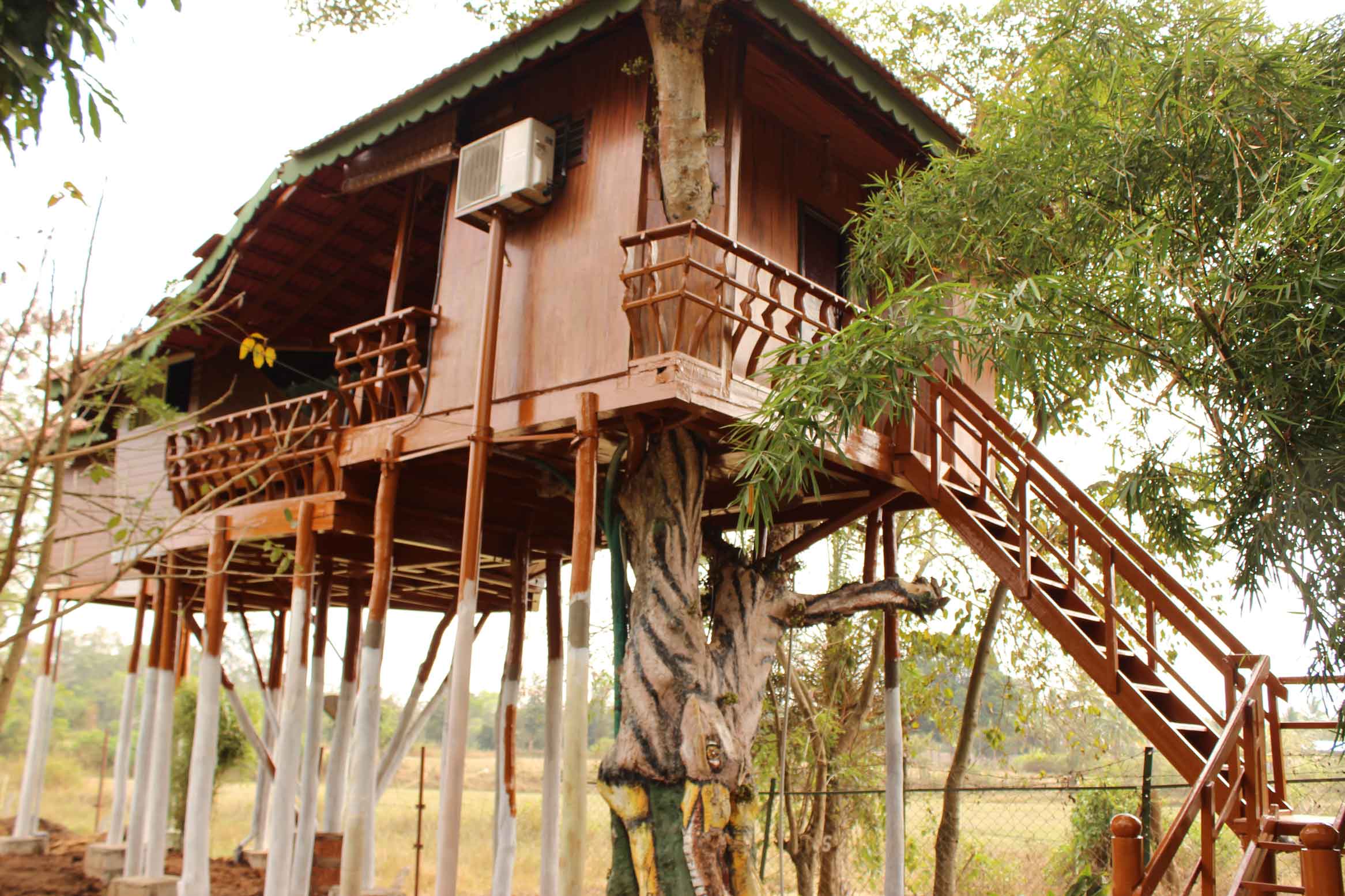 Bird of Paradise Homestay, KushalNagar, Karnataka, India